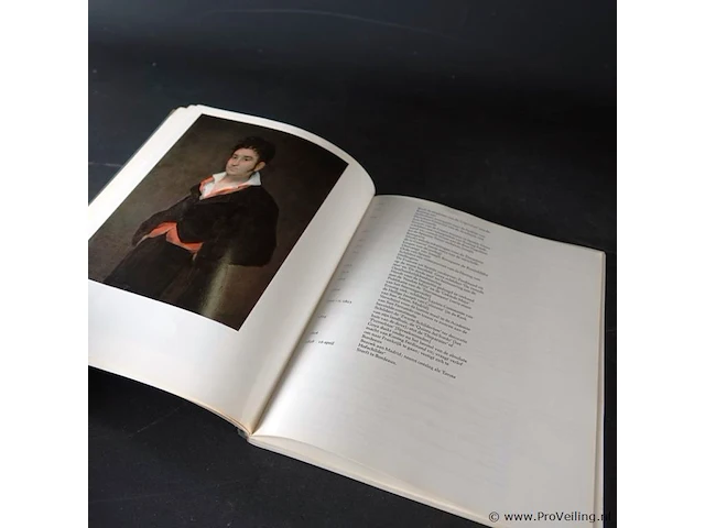 Goya - afbeelding 4 van  4