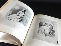 Goya - afbeelding 4 van  5