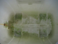Graf - afbeelding 6 van  6