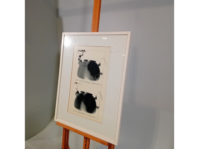 Grafiek / collage, c. kaper, theewater/koffiewater b - afbeelding 3 van  9