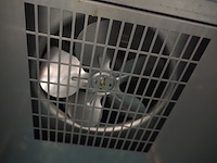 Gram - afbeelding 8 van  9