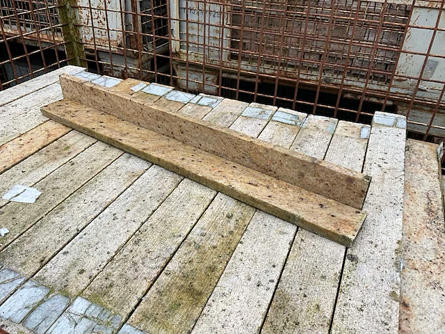 Granieten sierplint (350x) - afbeelding 1 van  3