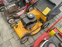 Grasmaaier / loopmaaier (7x) - afbeelding 10 van  21
