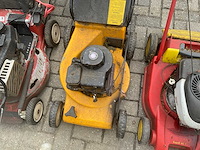 Grasmaaier / loopmaaier (7x) - afbeelding 11 van  21