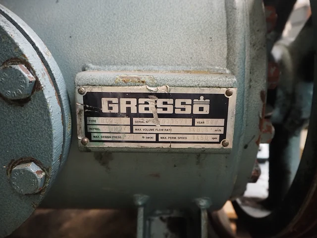 Grasso - afbeelding 10 van  12