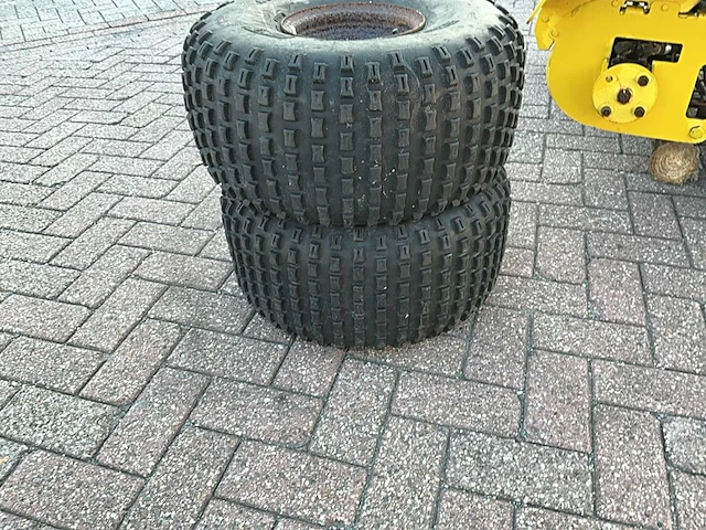 Great dane stand on lawnmower grasmaaier - afbeelding 2 van  15