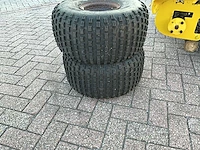 Great dane stand on lawnmower grasmaaier - afbeelding 2 van  15