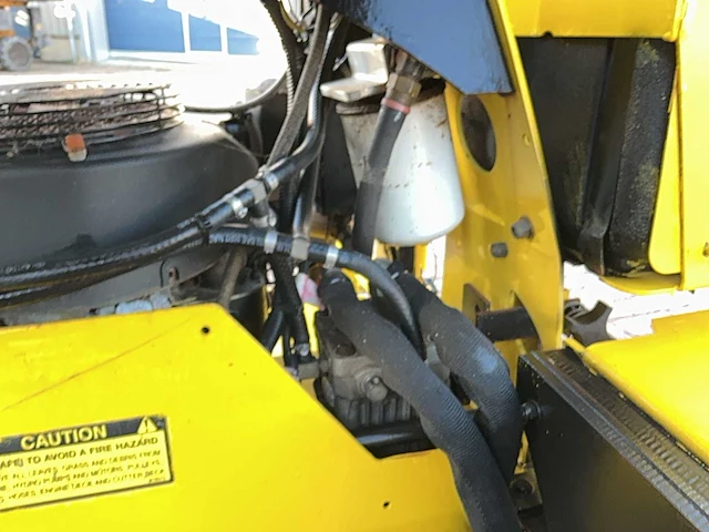 Great dane stand on lawnmower grasmaaier - afbeelding 3 van  15