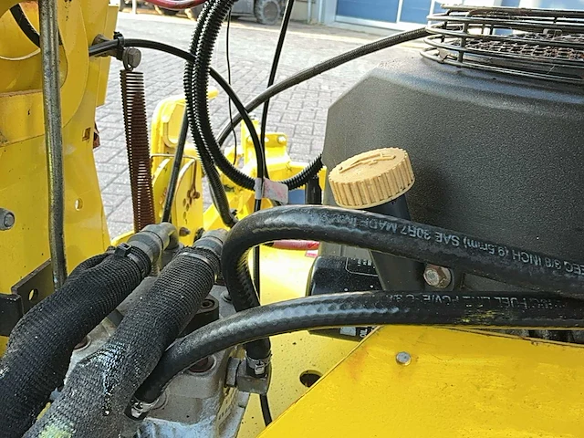 Great dane stand on lawnmower grasmaaier - afbeelding 4 van  15