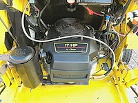 Great dane stand on lawnmower grasmaaier - afbeelding 5 van  15