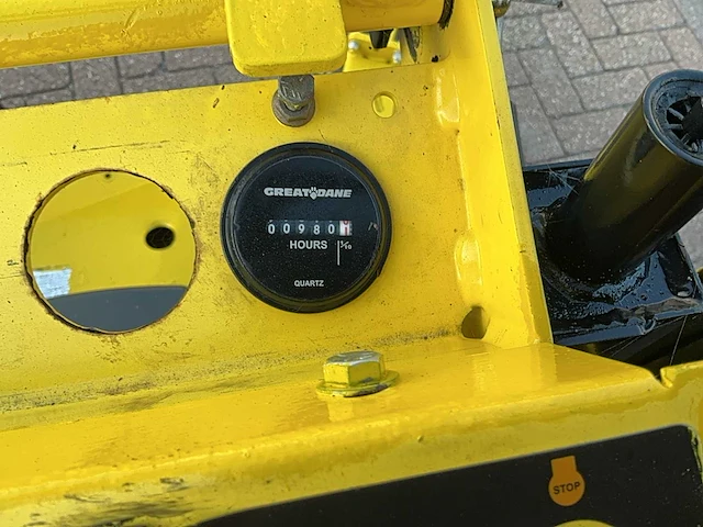 Great dane stand on lawnmower grasmaaier - afbeelding 14 van  15