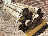 Grenen - 700 x 1000 x 1500 mm - houten palen (13x) - afbeelding 1 van  4