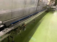 Gringhuis lift met transportband - afbeelding 6 van  31