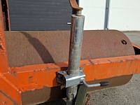 Grondwals/landrol - afbeelding 5 van  7