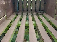 Grootpakpers claas, quadrant 1200 - afbeelding 22 van  42