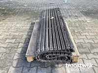 Grote egelband - afbeelding 3 van  5
