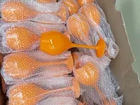 Grote en kleine koelers en glazen moët chandon, wit - afbeelding 3 van  7
