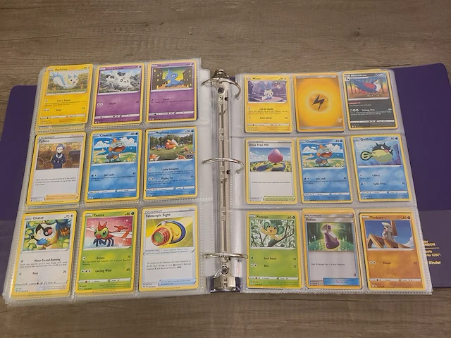 Grote map gevuld met (zeldzame) pokémon kaarten + gevulde deckbox - afbeelding 54 van  67