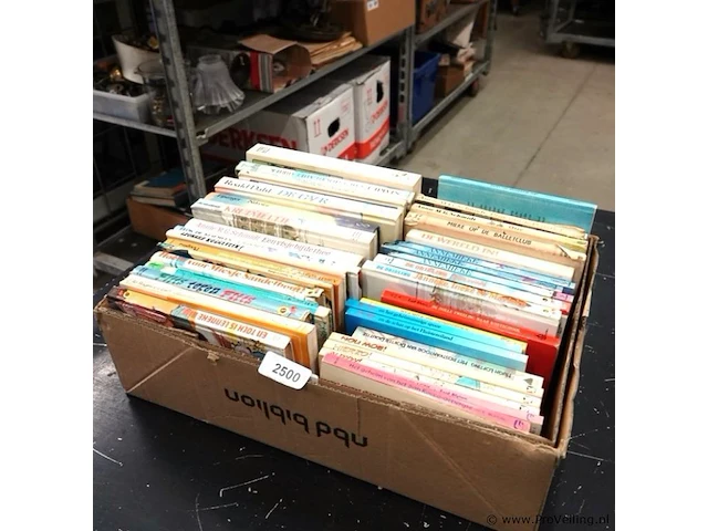 Grote partij kinderboeken - afbeelding 1 van  5