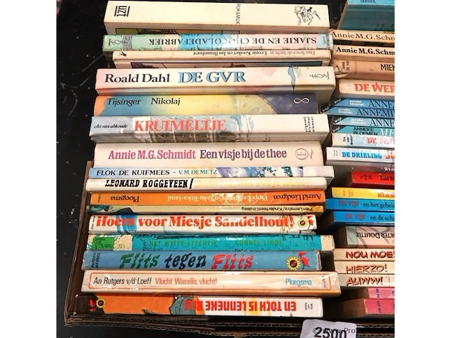 Grote partij kinderboeken - afbeelding 2 van  5