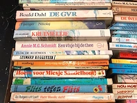 Grote partij kinderboeken - afbeelding 2 van  5