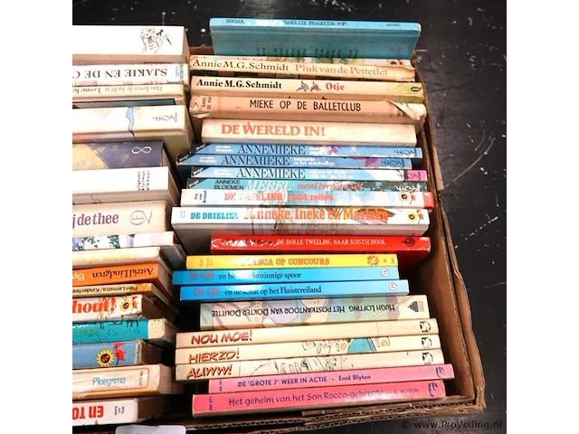 Grote partij kinderboeken - afbeelding 3 van  5