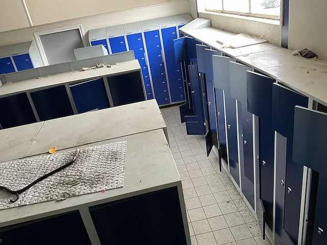 Grote partij lockerkasten - afbeelding 13 van  17