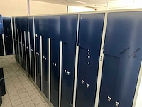 Grote partij lockerkasten - afbeelding 14 van  17
