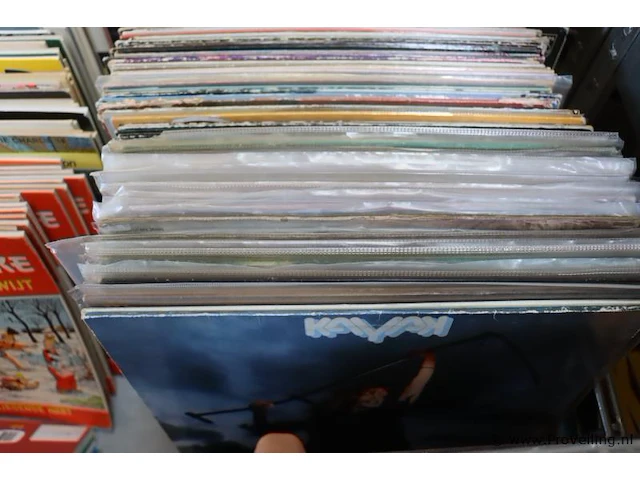Grote partij met stripboeken & lp's, diverse genres/titels - afbeelding 9 van  13