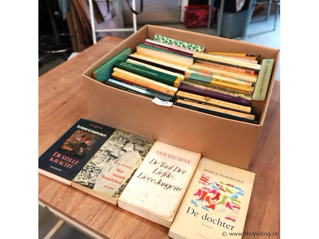 Grote partij nederlandse literatuur in doos - afbeelding 1 van  5