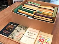 Grote partij nederlandse literatuur in doos - afbeelding 1 van  5