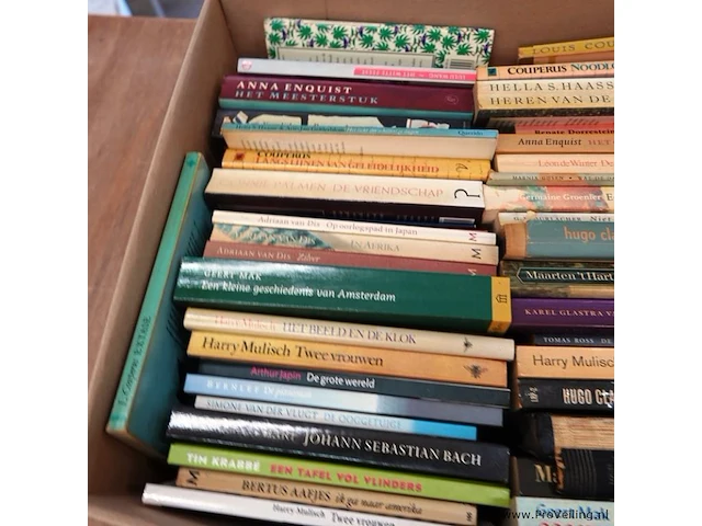 Grote partij nederlandse literatuur in doos - afbeelding 2 van  5