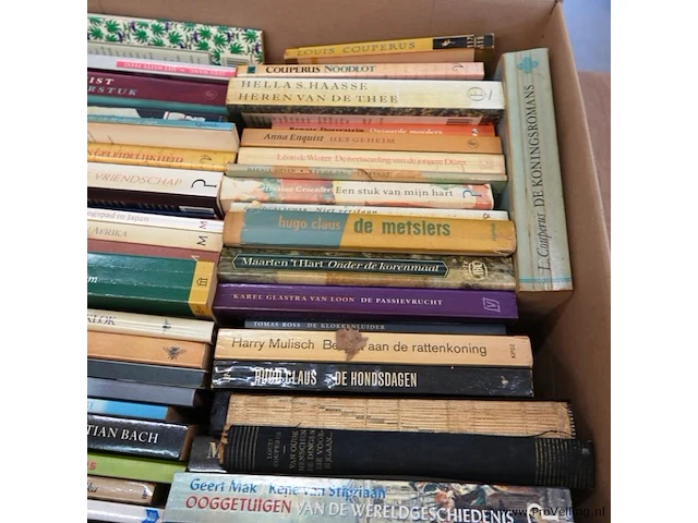 Grote partij nederlandse literatuur in doos - afbeelding 3 van  5