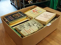 Grote partij nederlandse literatuur in doos - afbeelding 5 van  5