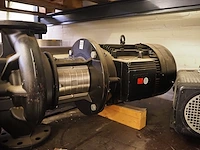 Grundfos / busch - afbeelding 4 van  8