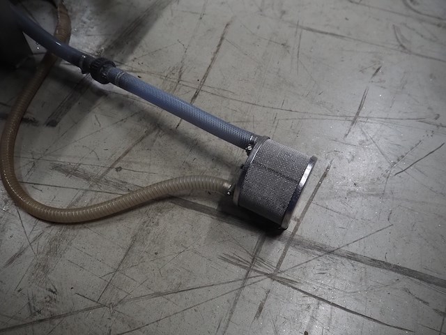 Günther - afbeelding 6 van  14