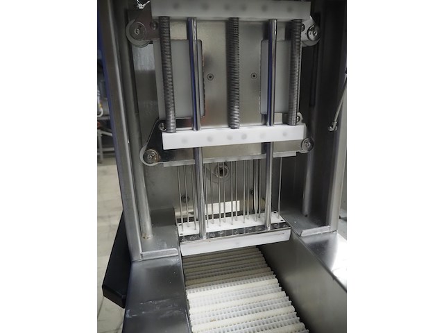 Günther - afbeelding 11 van  14