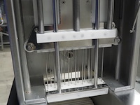 Günther - afbeelding 11 van  14