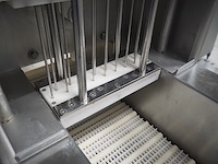 Günther - afbeelding 12 van  14