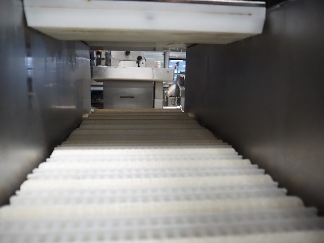 Günther - afbeelding 13 van  14