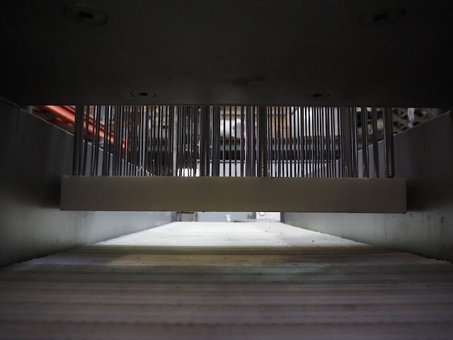 Günther - afbeelding 5 van  32