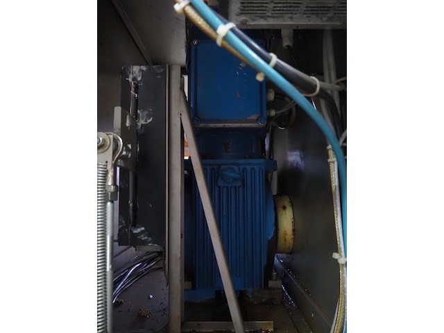 Günther - afbeelding 17 van  32