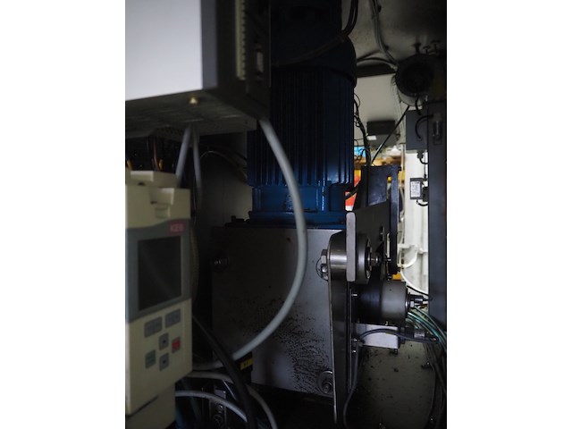 Günther - afbeelding 18 van  32