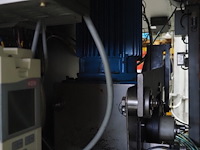 Günther - afbeelding 18 van  32