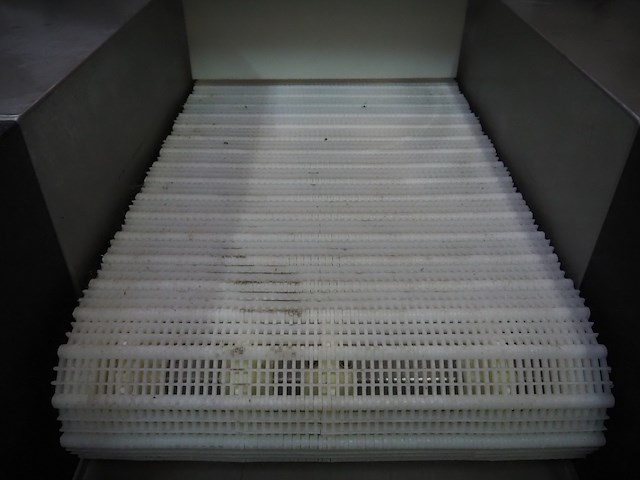 Günther - afbeelding 31 van  32