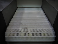 Günther - afbeelding 31 van  32