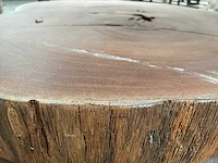 Guyana teak houten schijf 1000mm - afbeelding 3 van  3
