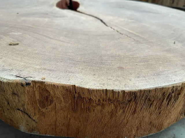 Guyana teak houten schijf 1000mm - afbeelding 3 van  3