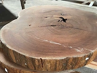 Guyana teak houten schijf 1000mm - afbeelding 1 van  3