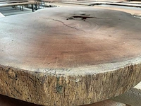 Guyana teak houten schijf 1100mm - afbeelding 3 van  3